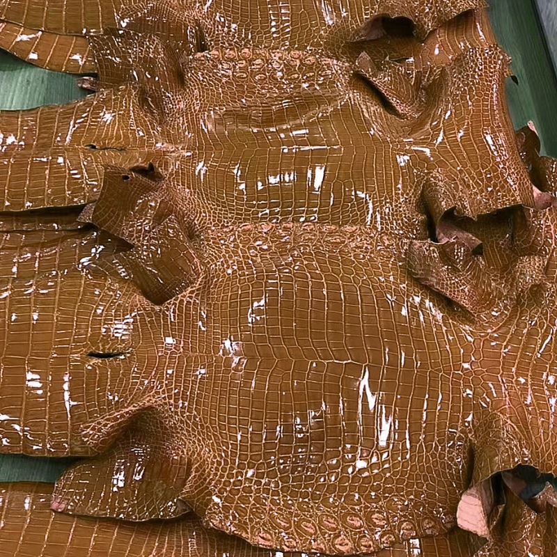 Why Perfect Crocodile Skins are Like Rare Diamonds