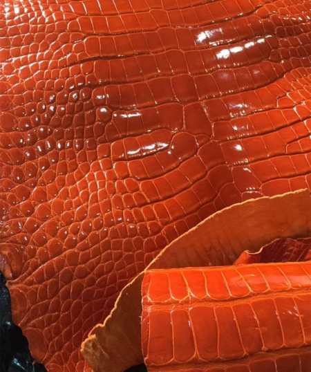 orange crocodile bag