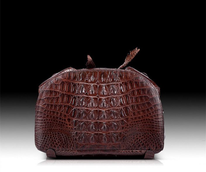 dune crocodile bag