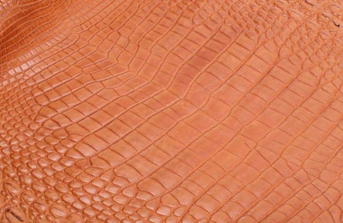 Learning Exotic Leather: American Alligator