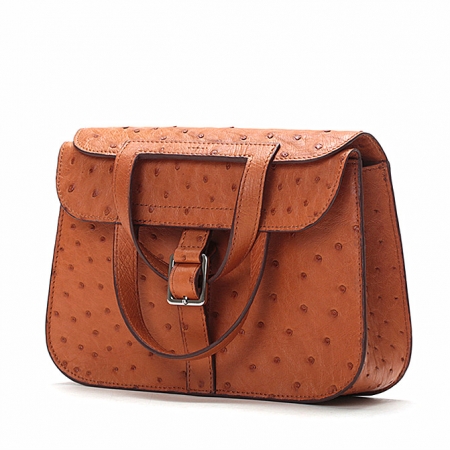 Designer Ostrich Skin Handbag Shoulder Bag for Women-Micro Side