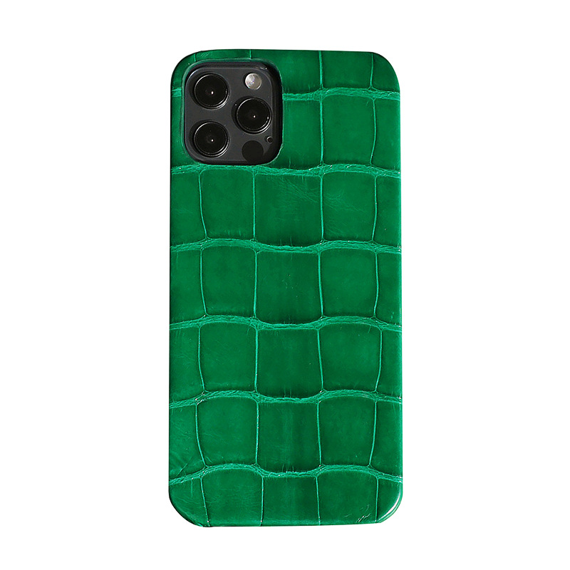 Buy Luxury Chrome Case for iPhone 12 / 12 Pro Alpine Green