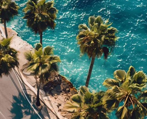 Beautiful beach and palm - wallpaper